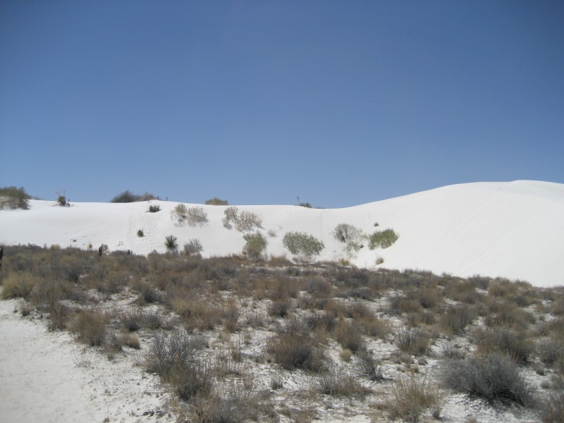 White Sands