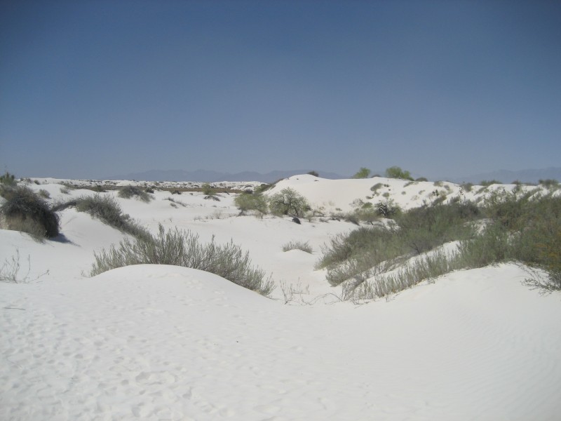 White Sands