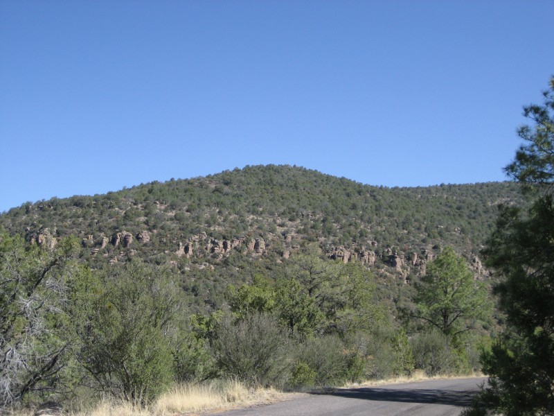 Driving through Gila National Forest