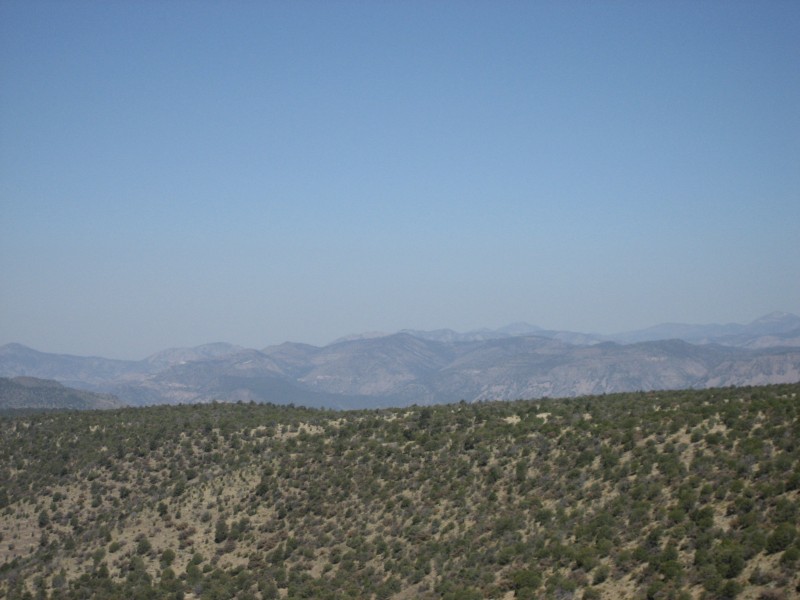 Driving through Gila National Forest