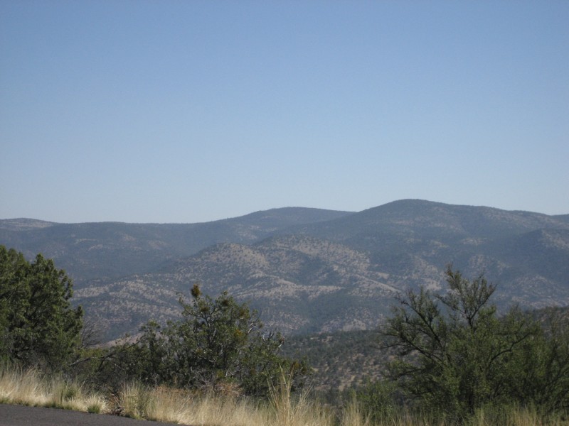 Driving through Gila National Forest