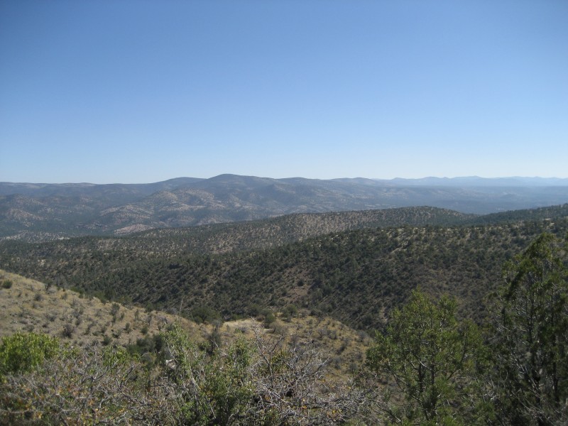 Driving through Gila National Forest