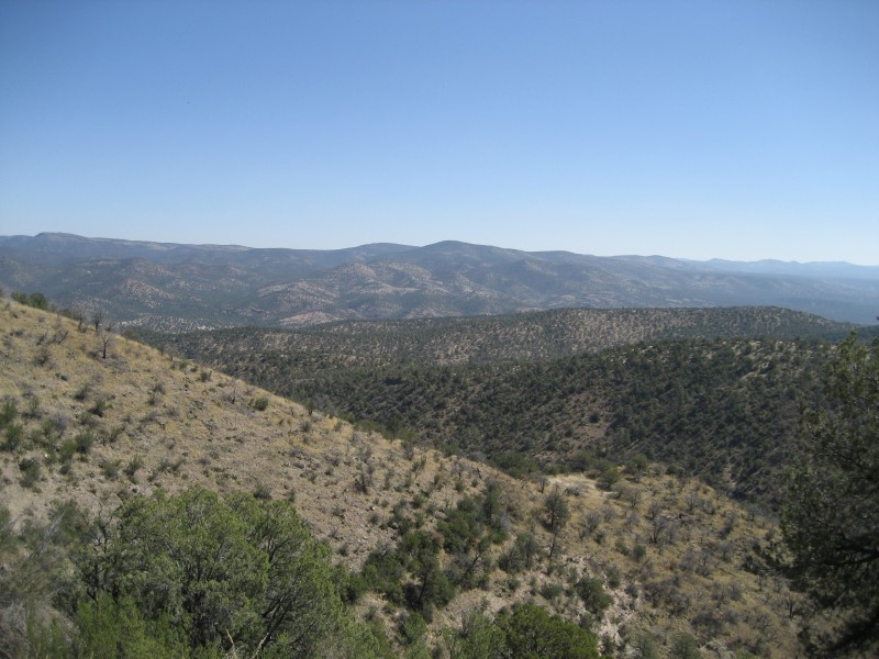 Driving through Gila National Forest