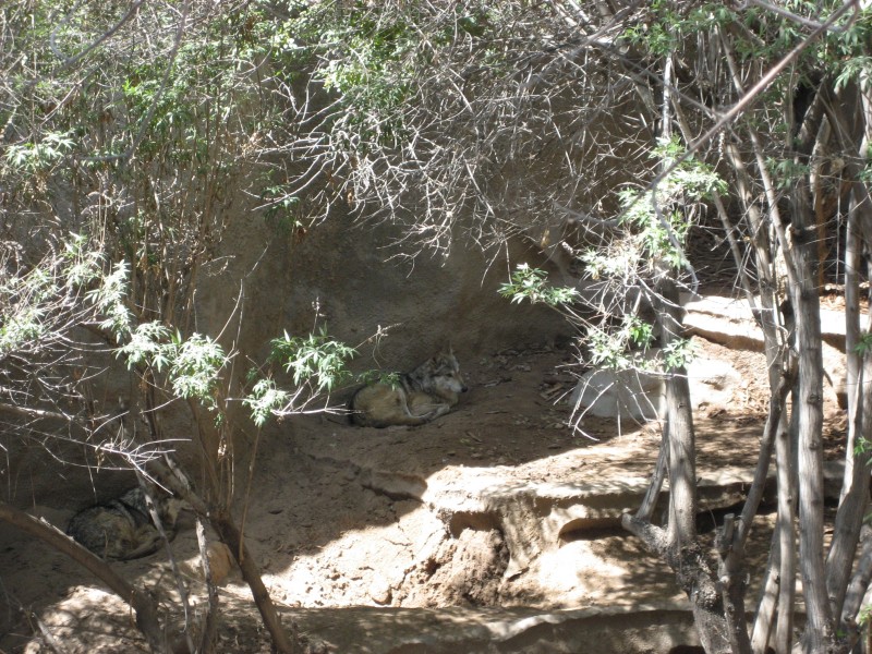 El Paso Zoo