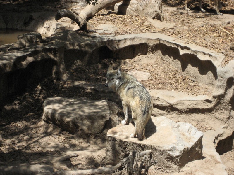 El Paso Zoo