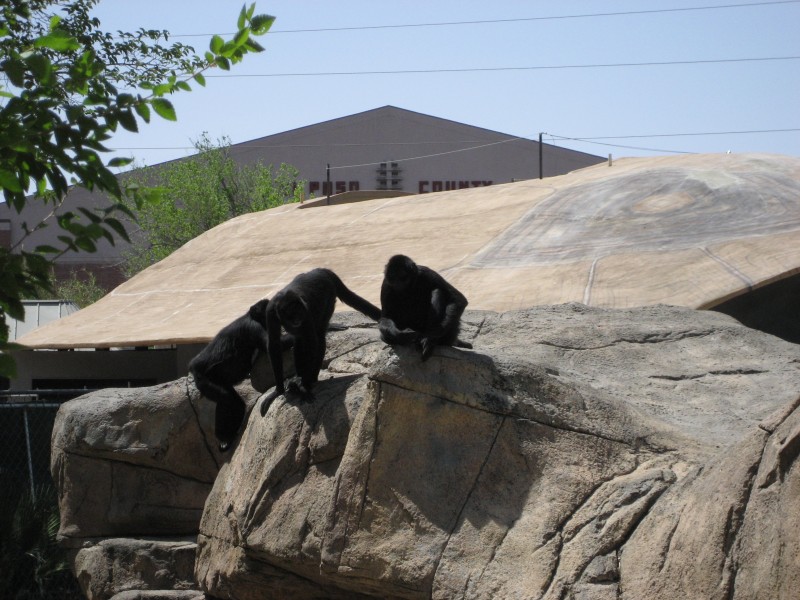 El Paso Zoo