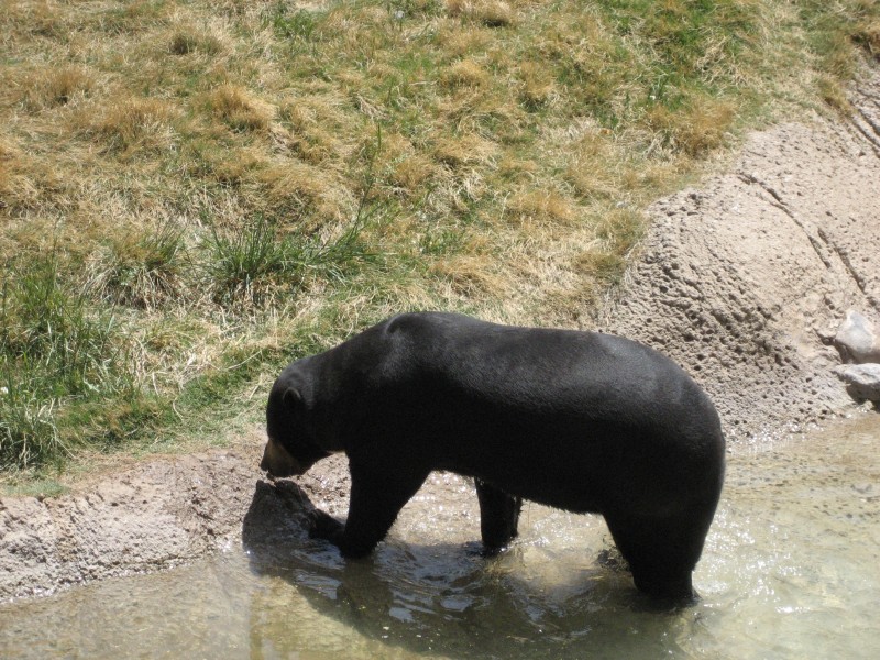 El Paso Zoo